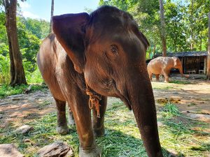 Thaïlande MLVoyages
